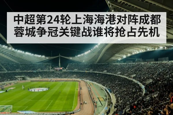 soccer stadium night crowd(kaiyun)